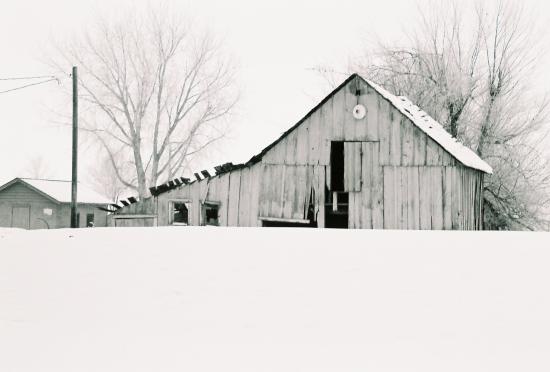 Barn (2)